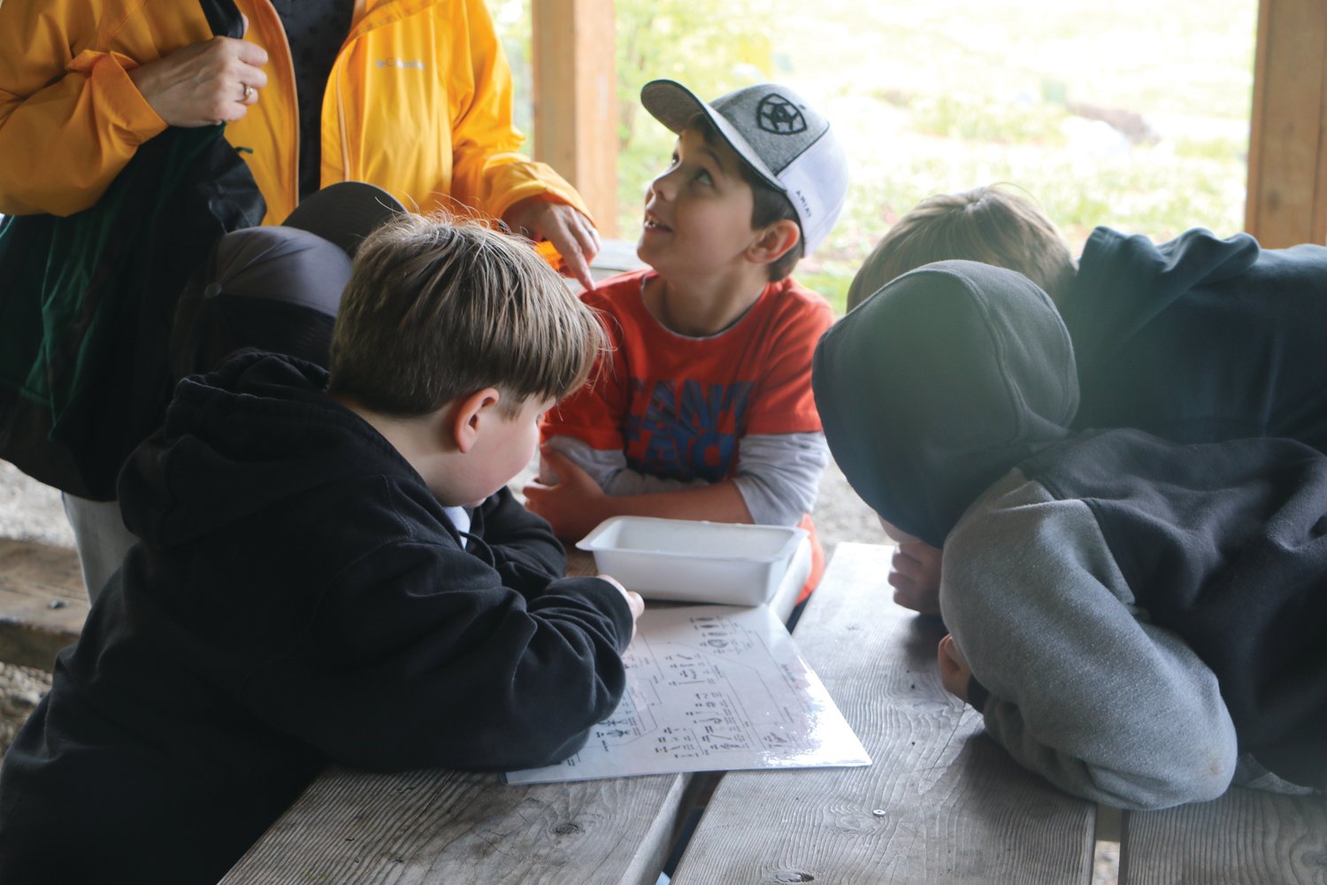 Students review information on insect life in Chimacum Creek during the salmon-release day.